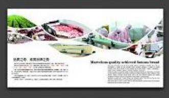 食品企業(yè)畫(huà)冊(cè)設(shè)計(jì)公司 食品企業(yè)的宣傳冊(cè)設(shè)計(jì)要怎么做