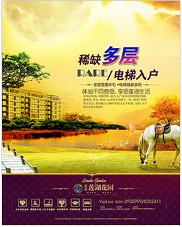 蓮湖花園 蓮湖花園