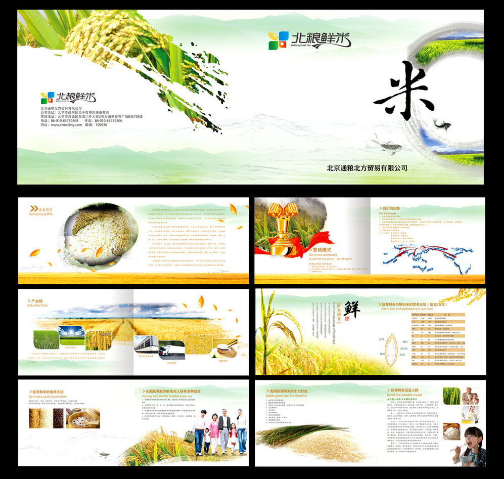 圖冊排版設(shè)計    農(nóng)業(yè)產(chǎn)品畫冊設(shè)計,大米畫冊設(shè)計，大米宣傳冊設(shè)計