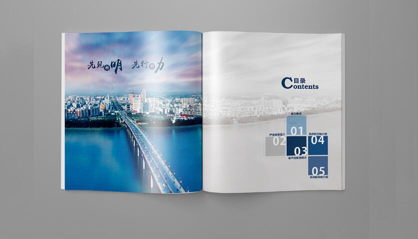 政府畫冊(cè)設(shè)計(jì)案例欣賞