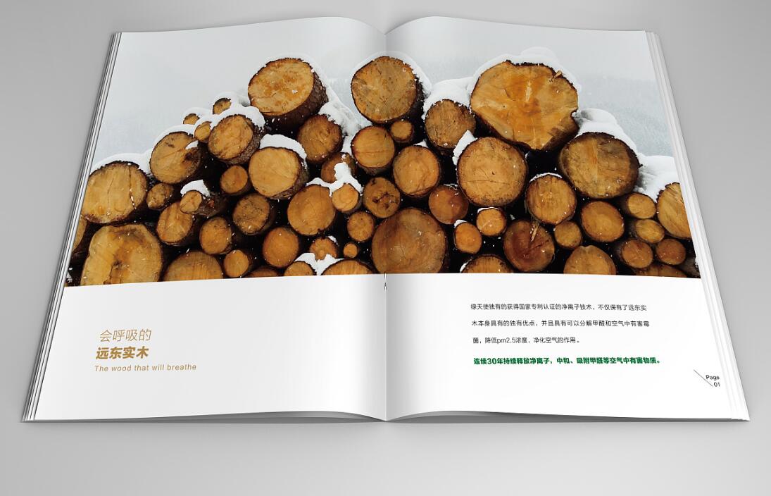 綠色環(huán)保地板行業(yè)畫(huà)冊(cè)設(shè)計(jì)案例欣賞