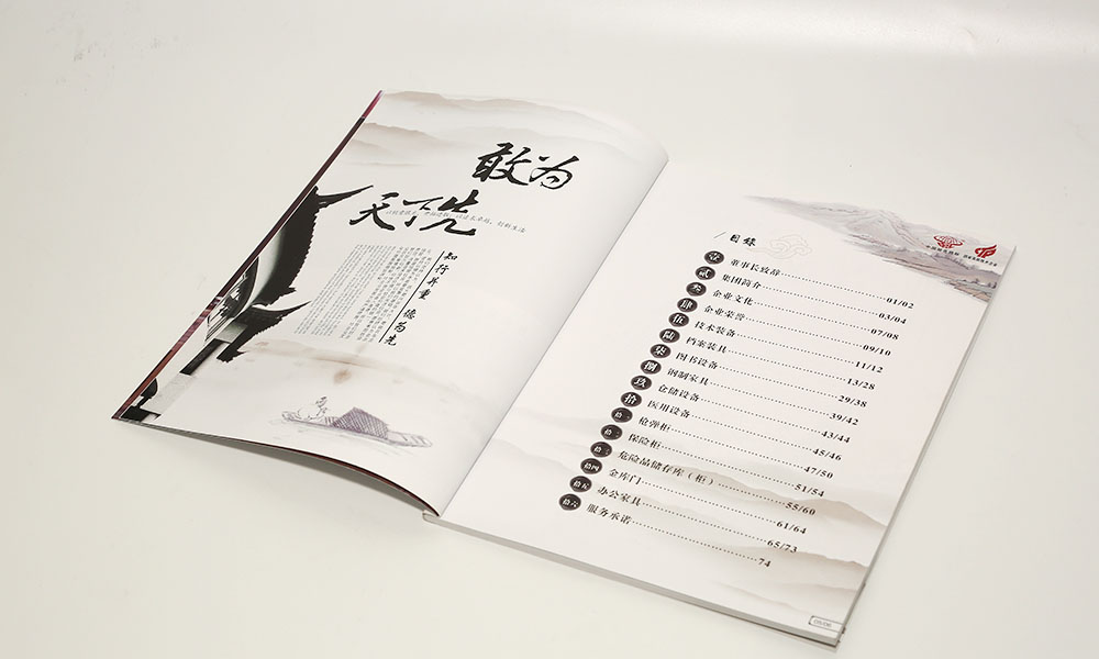 保險(xiǎn)設(shè)備公司畫冊(cè)設(shè)計(jì)