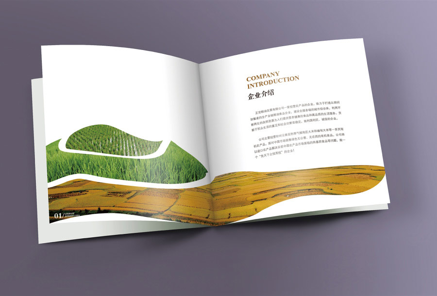 藝術(shù)畫冊設(shè)計公司