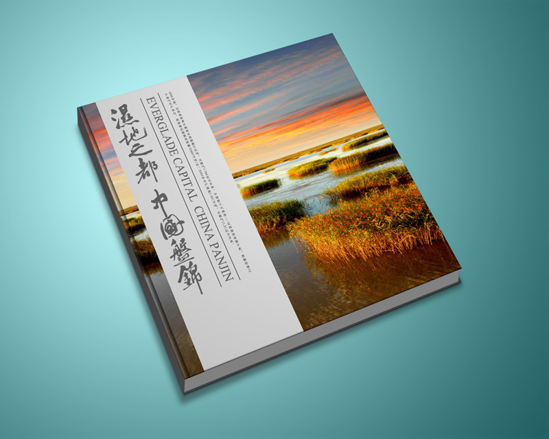 廣告畫冊(cè)設(shè)計(jì)公司