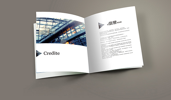 畫海珠企業(yè)畫冊設計的收費標準是什么？